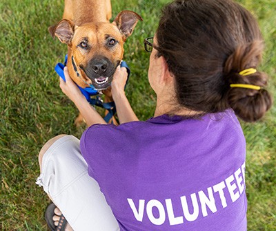 animal shelter volunteer with dog