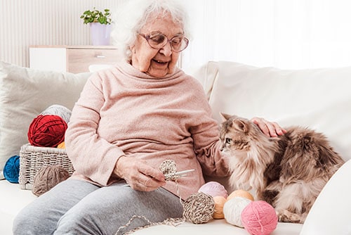 woman knitting with cat by her side